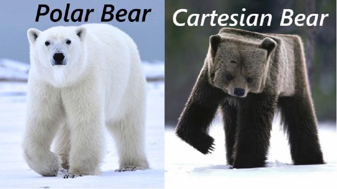 A joke about Polar Bears vs Cartesian Bears